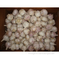 /msite/products/detail/productid/56696771/id/573198.html